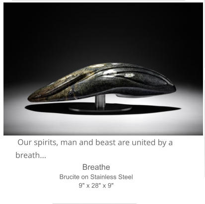 Our spirits, man and beast are united by a breath... Breathe Brucite on Stainless Steel 9" x 28" x 9"
